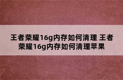 王者荣耀16g内存如何清理 王者荣耀16g内存如何清理苹果